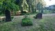 Blick auf den Inneren Matthäusfriedhof