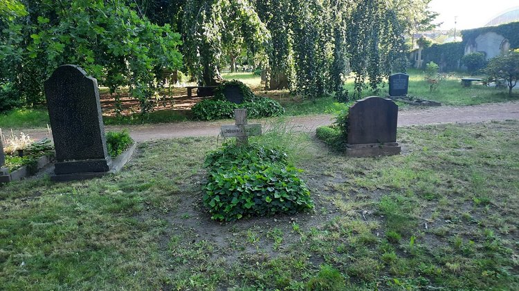 Blick auf den Inneren Matthäusfriedhof